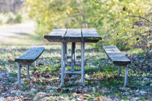 Picnic table at Eagle's Nest Park