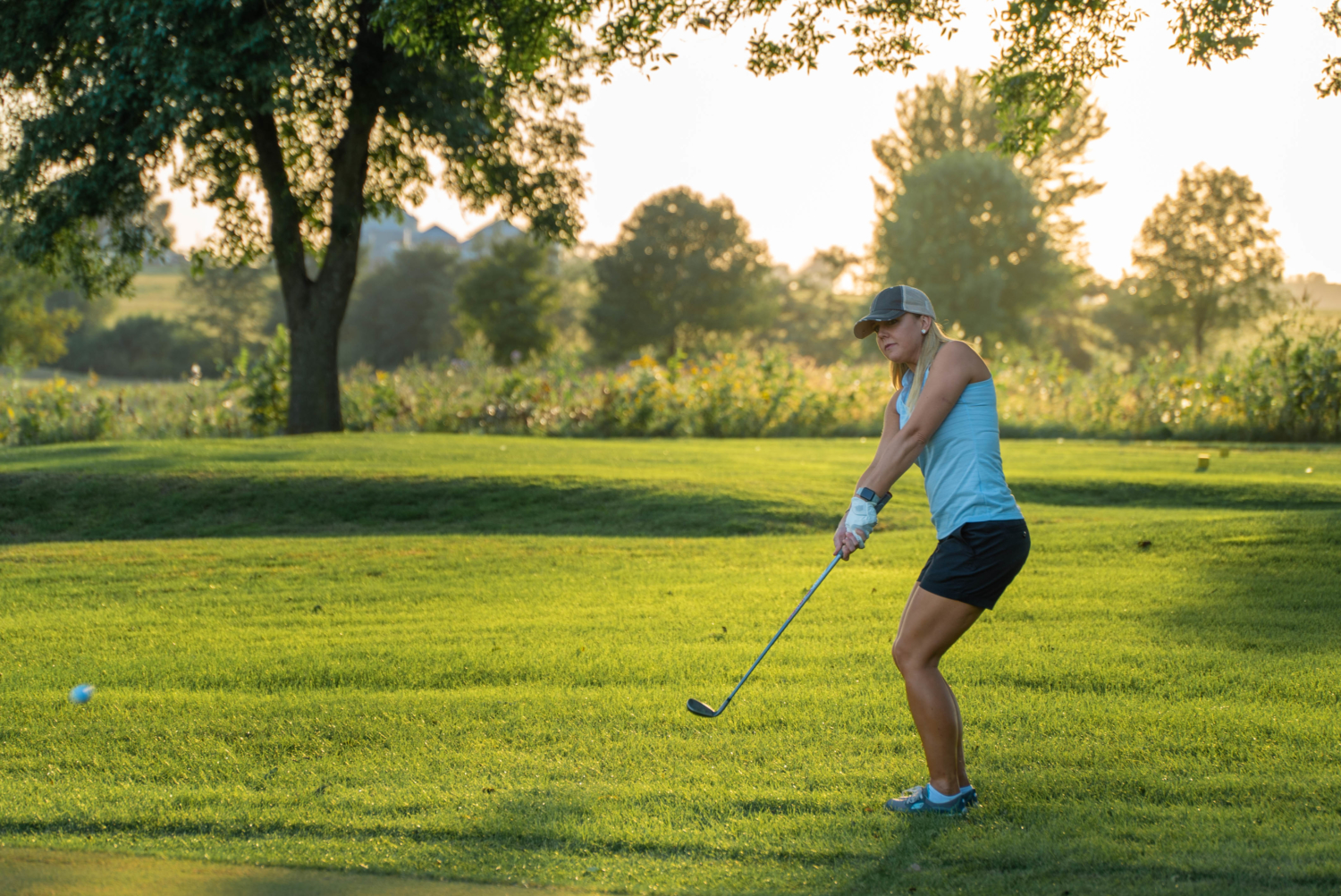 Things To Do in St. James Discover St. James